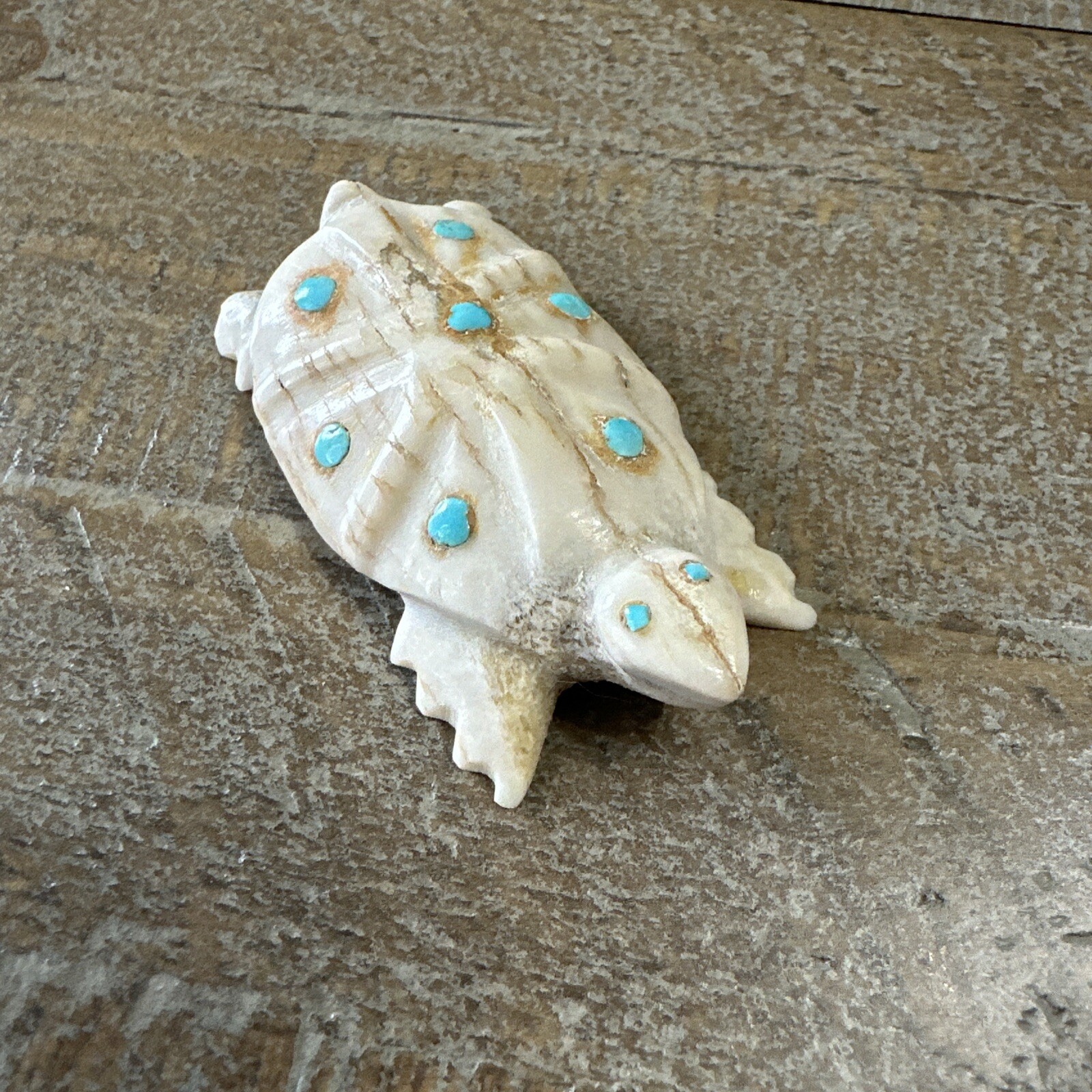 Turtle with TurquioseAccents