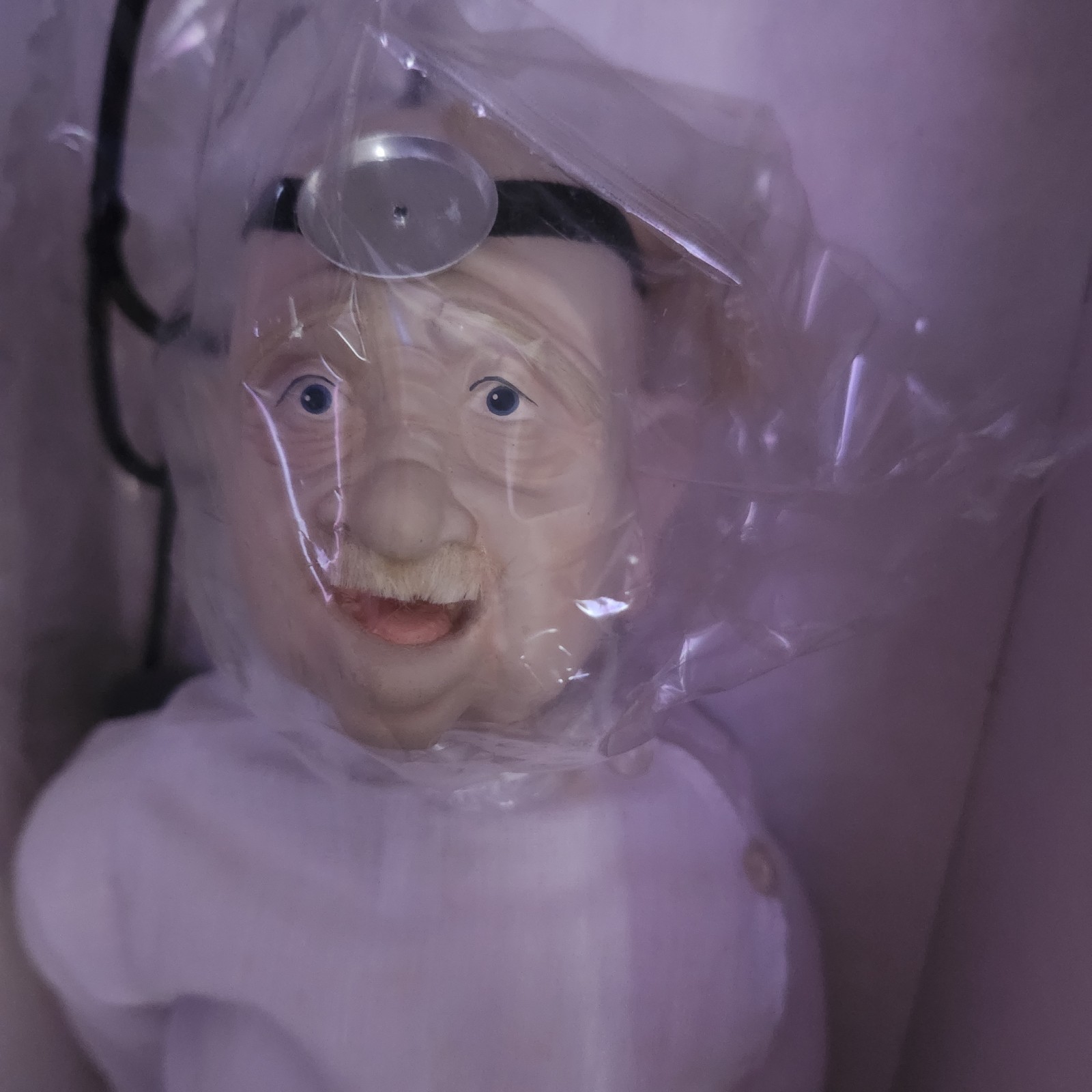 The Elder Doc Werner Doll Collection Porcelain Doll with Stand And Box
