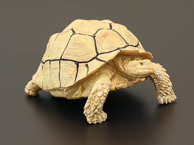 Leopard Tortoise Statue Figurine Turtle Decorations for Home Reptile Decorati…