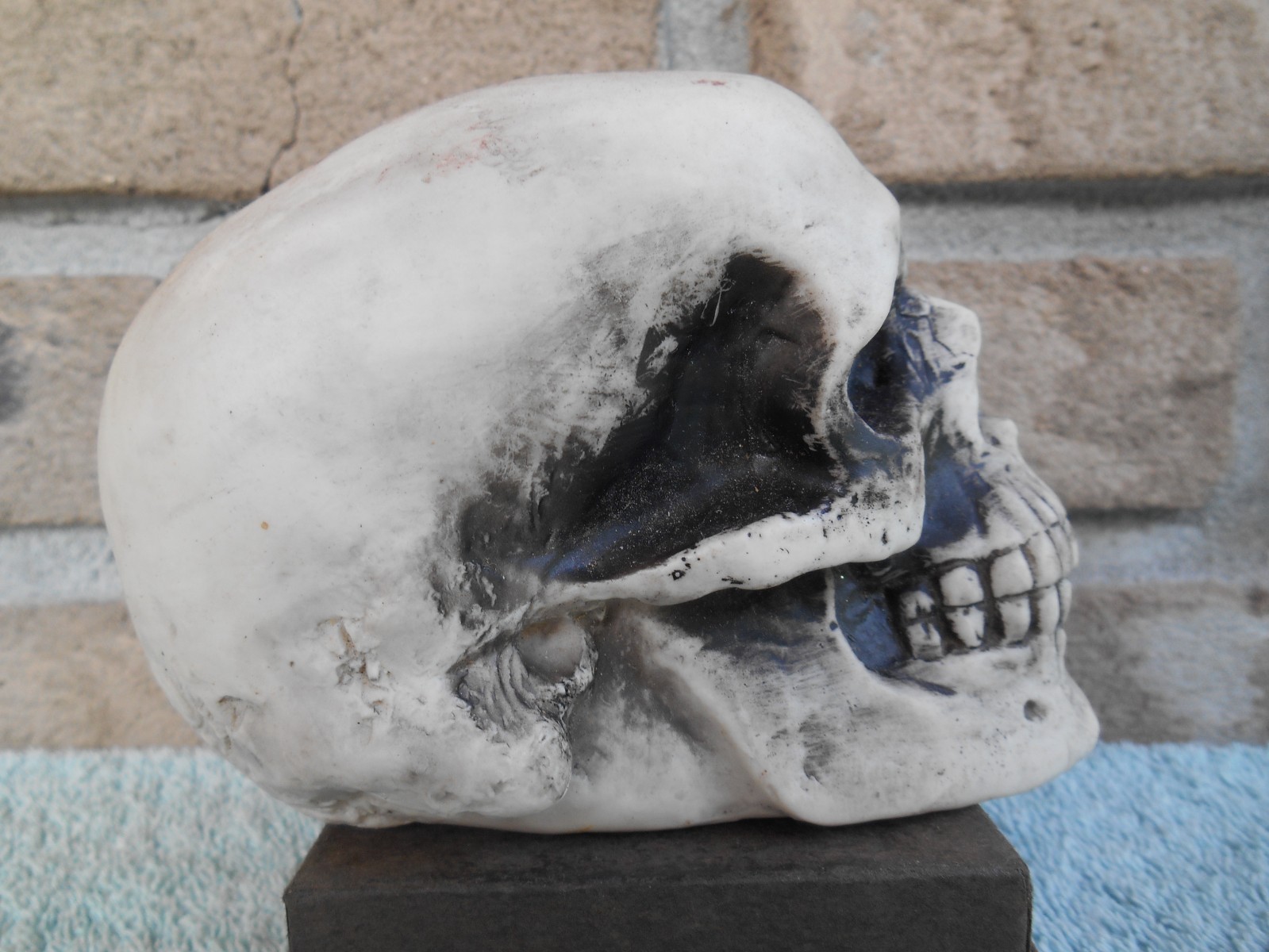 DECORATIVE PLASTIC MOLDED SKULL SKELETON HEAD 3-1/2″ TALL.