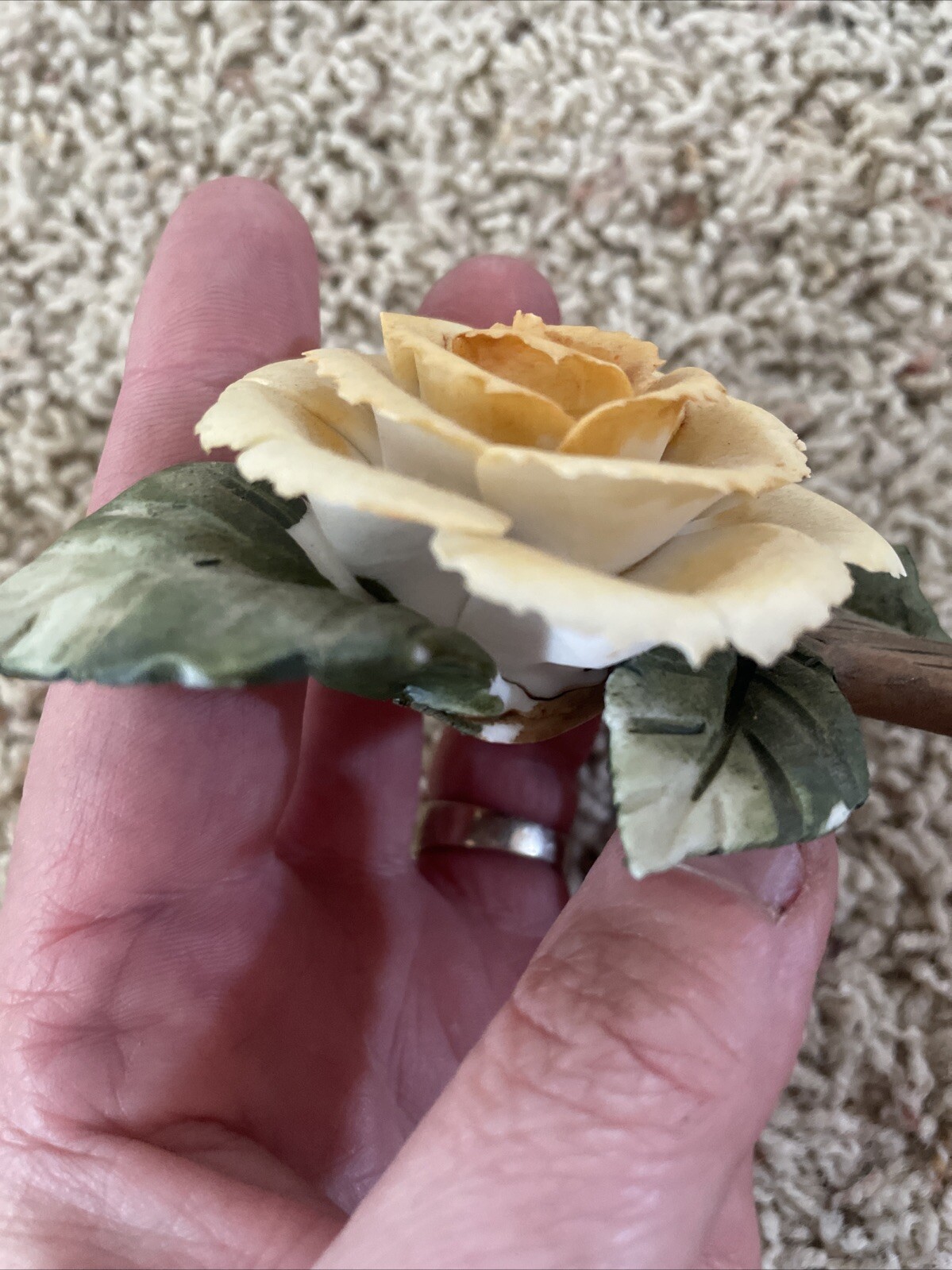 Delicate Possible Porcelain Rose On A Branch With Leaves