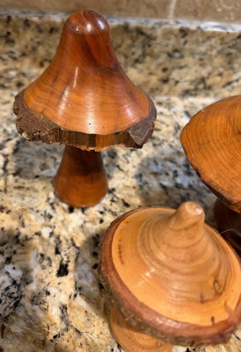 Vintage Wooden Mushrooms Wood Sculptures Handmade Set of 6