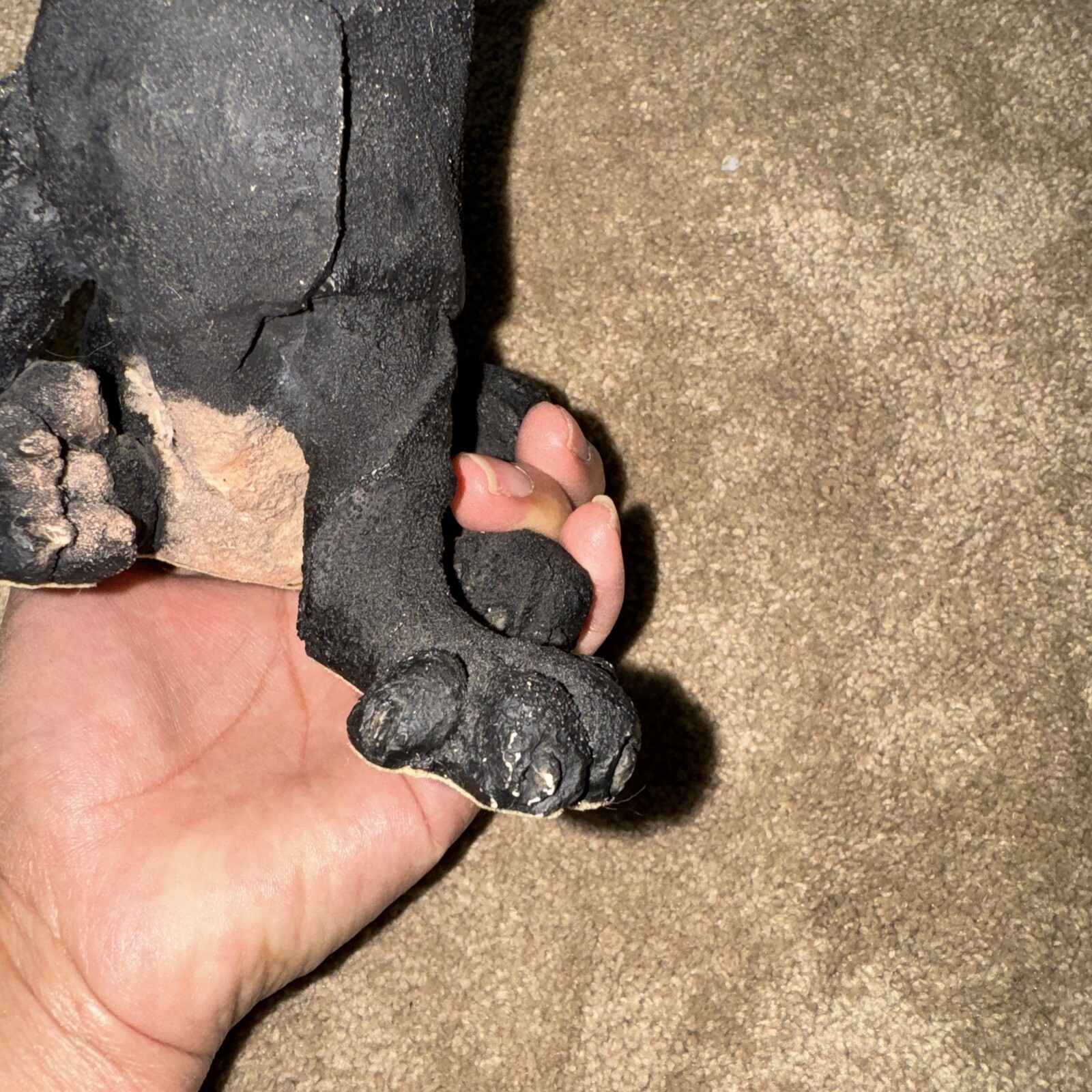 A Breed Apart 70206 Black Lab Puppy 2003