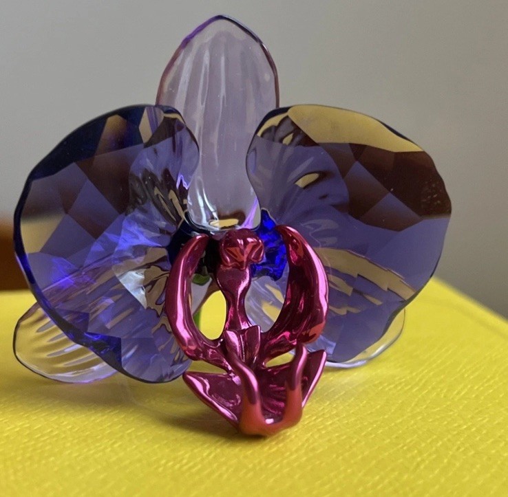 Swarovski 2024 SCS Idyllia Orchid Petal 5669354 New in Box.