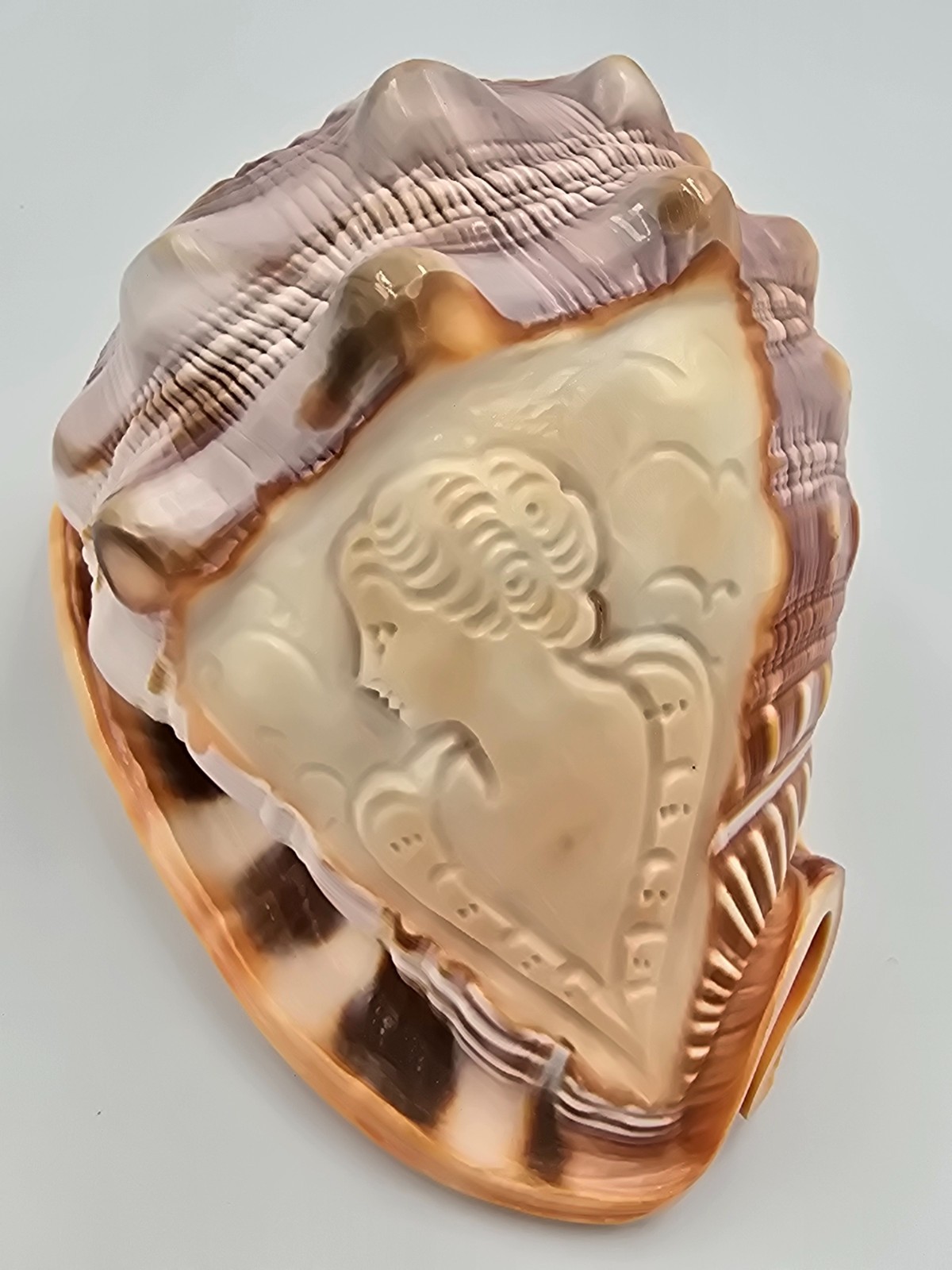 Vintage Carved Seashell Cameo Lady Profile Conch Shell Sculpture Figurine