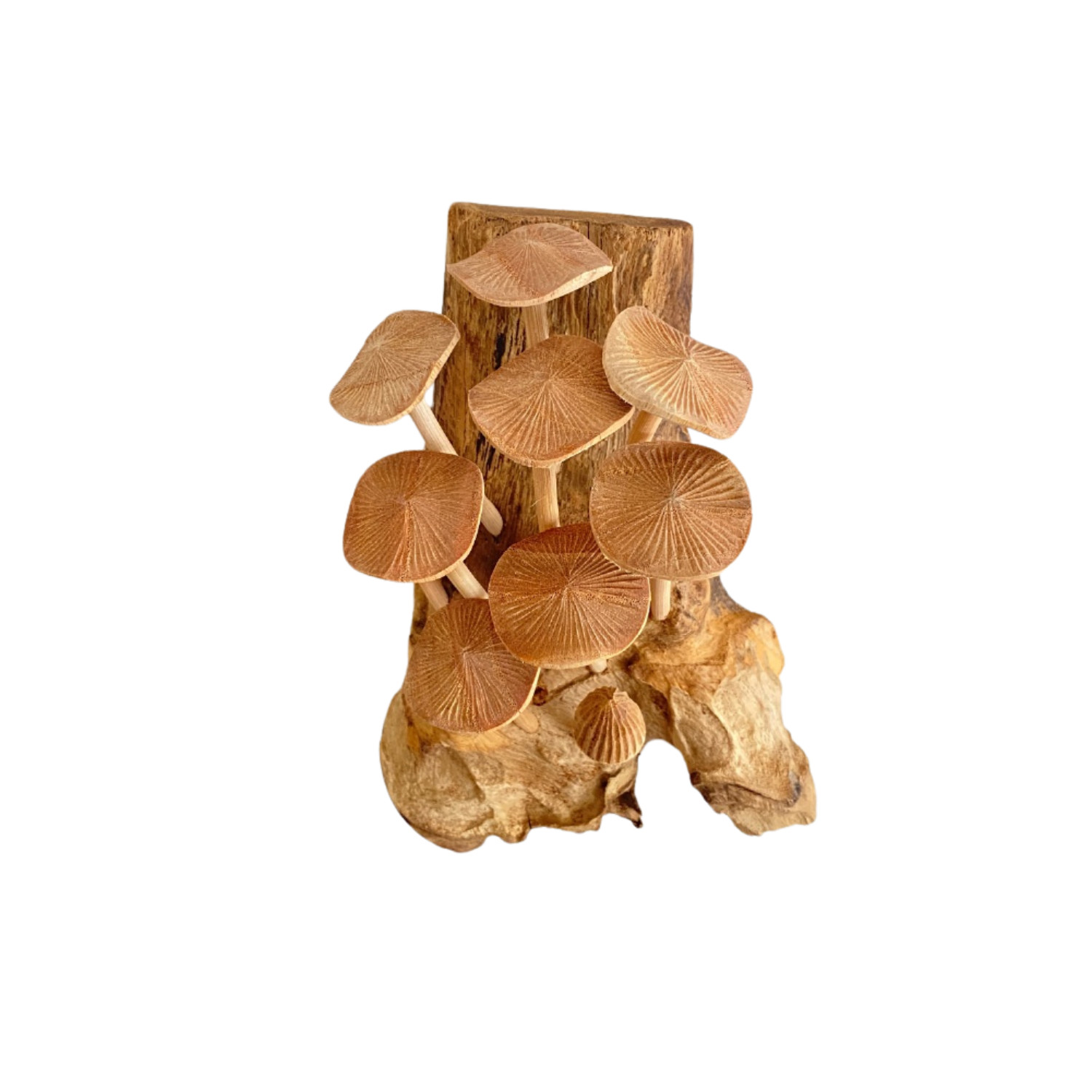 Hand Carved Wooden Mushroom Wall Hanging Decor Rustic Forest Art Sculpture 10″