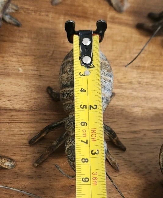 6 Vtg Cast Iron Bugs, Bee, DragonFly,HouseFly,Grasshopper, Butterfly,LadyBug,Ant