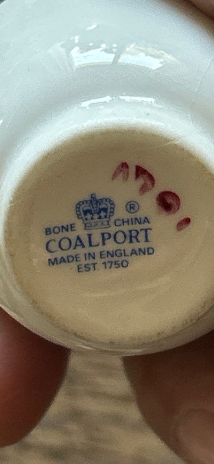 Vintage Coalport Bone China Flower Pot/ Staffs England Mini Flower