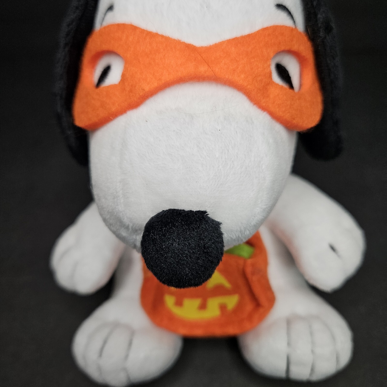 Hallmark Peanuts Snoopy Plush Halloween Trick Treat Orange Pumpkin Mask Stuffed