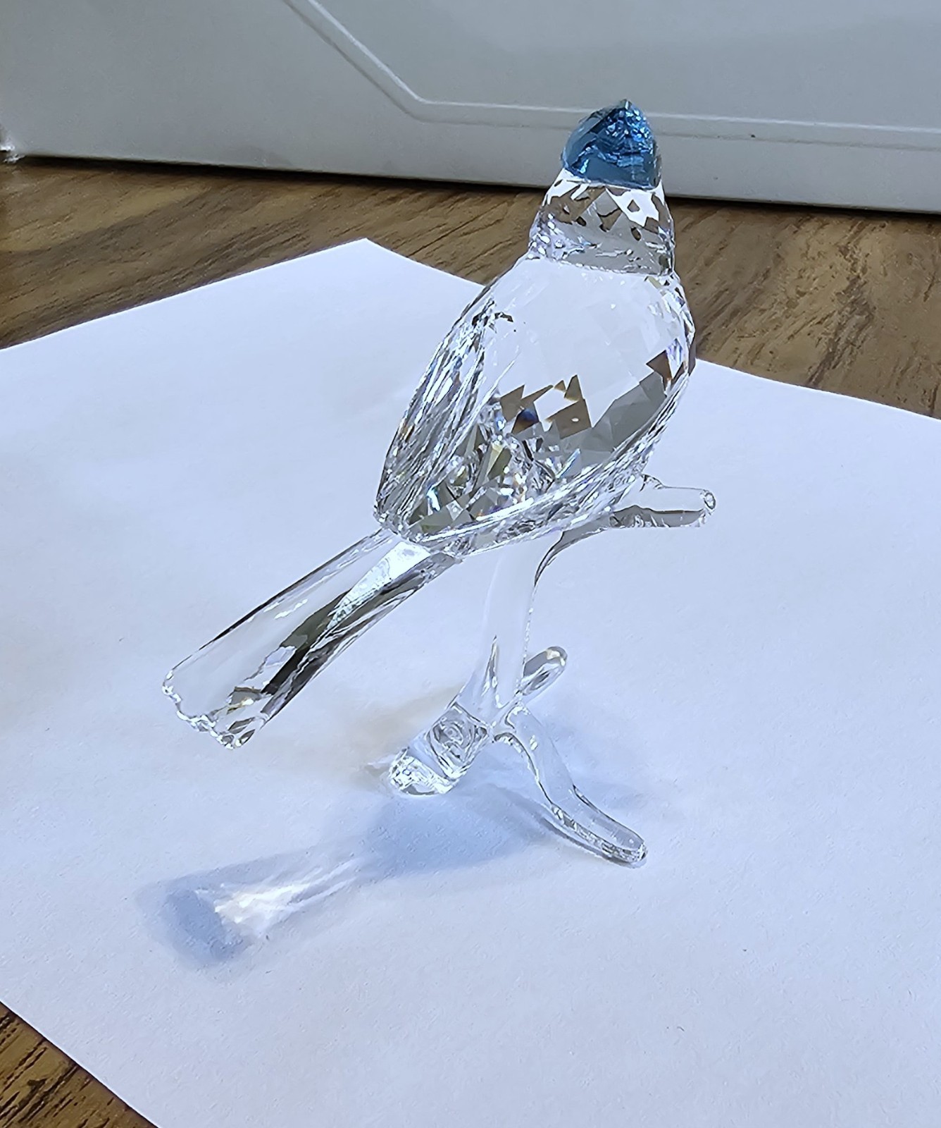 🐦 Swarovski Crystal 2019 Feathered Beauties, Large, Blue Jay Bird Figurine, NIB