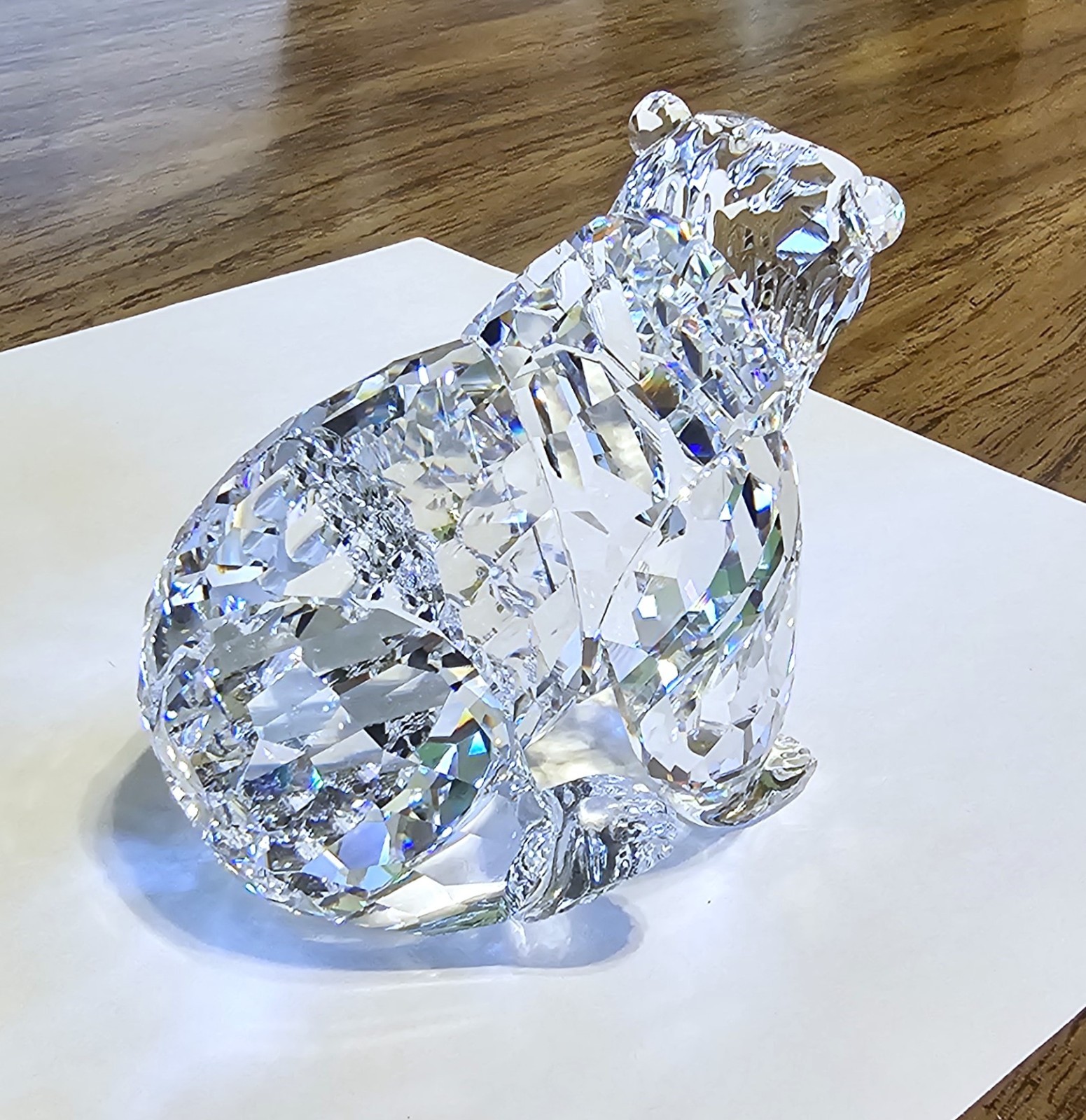 🐻 Swarovski Crystal “Rare Encounters”, LARGE, Adult Grizzly Bear Figurine, Box