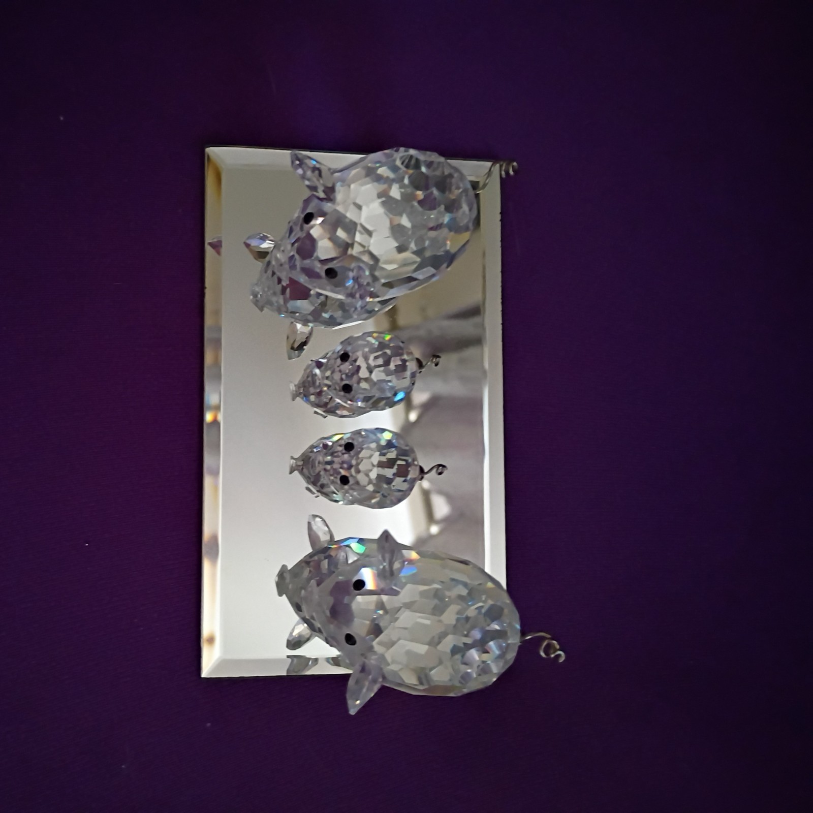 Swarovski Crystal Pig Set (4) Retired with Display Mirror