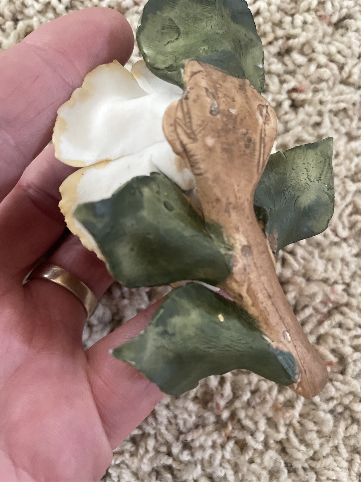 Delicate Possible Porcelain Rose On A Branch With Leaves