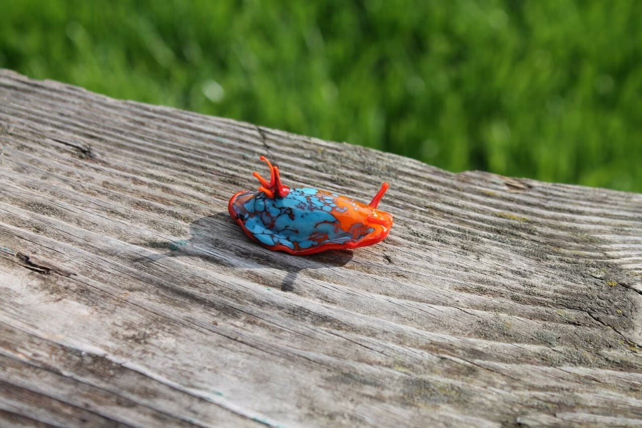 Nudibranch – Sea Slug glass sculpture – slug figure – Sea Slug – Bunny Sea Slug