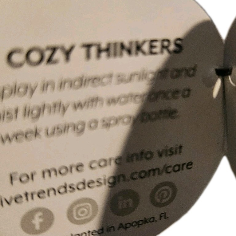 Livetrends Cozy Thinkers Figurine