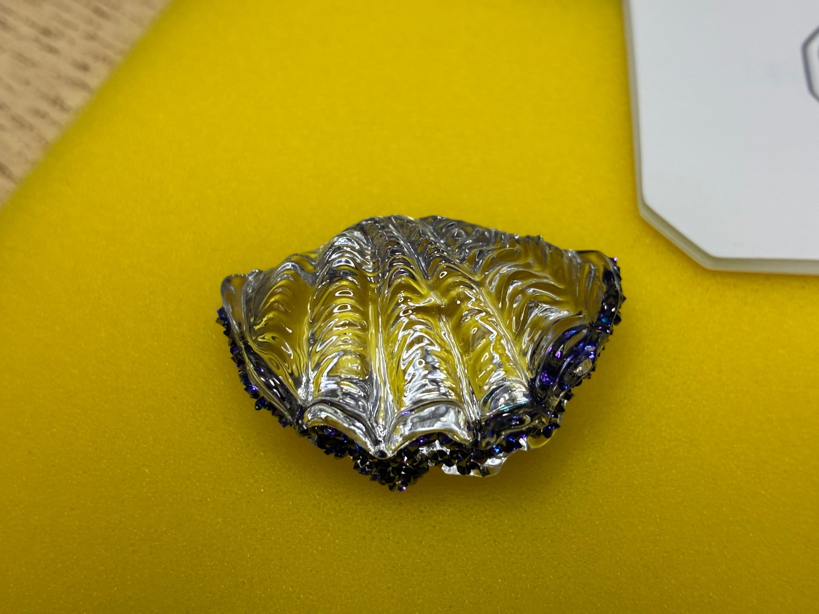 Swarovski SCS Clam Shell 5701499 MIB 2025 Loyalty Gift