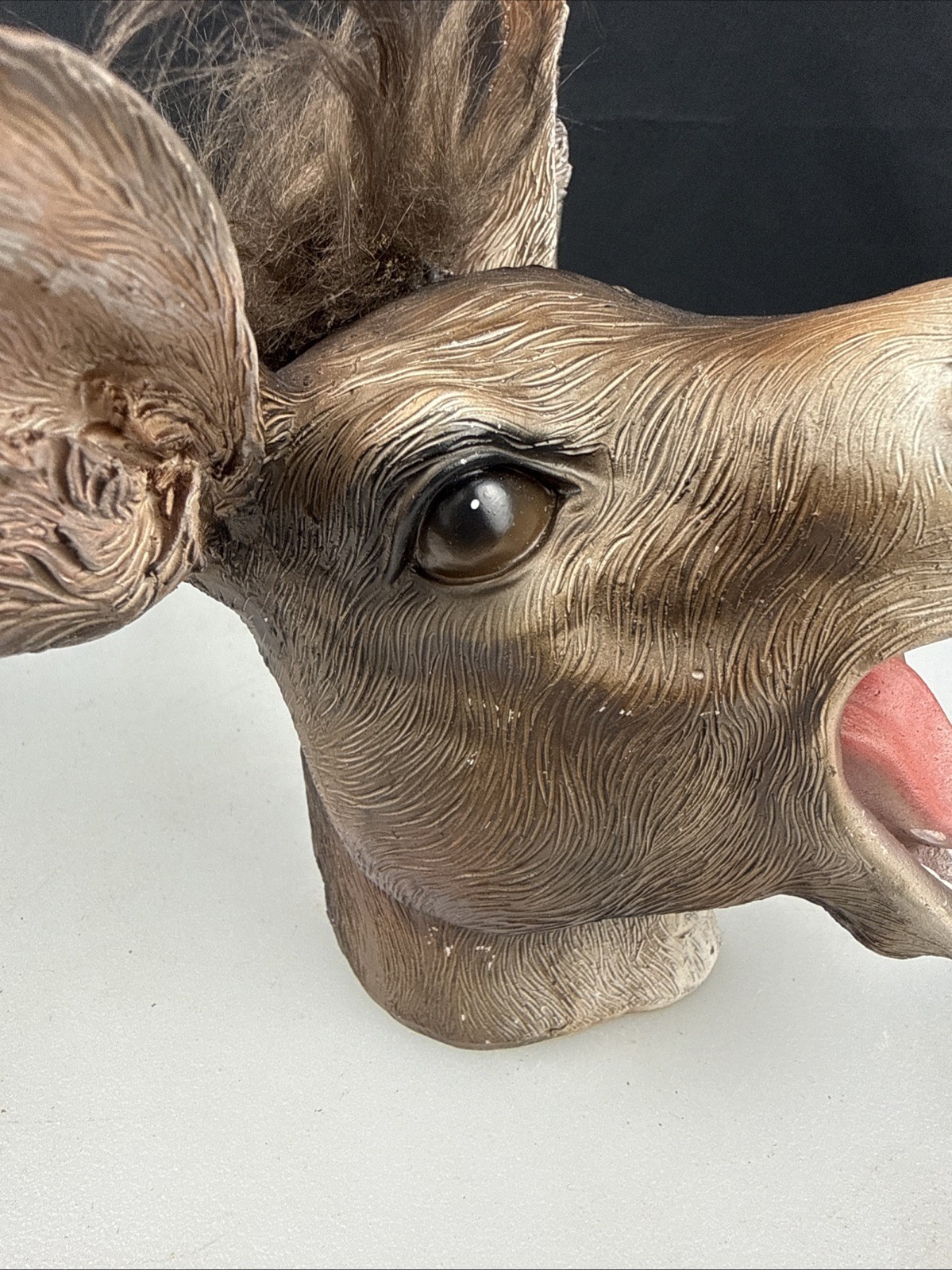 7″ Polyresin Laughing Donkey Mule Ass Head bust Paperweight