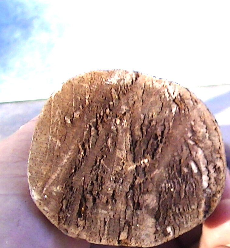 Rare 2 Unusual Primative Carvings bare breasted female figures origin Unknown