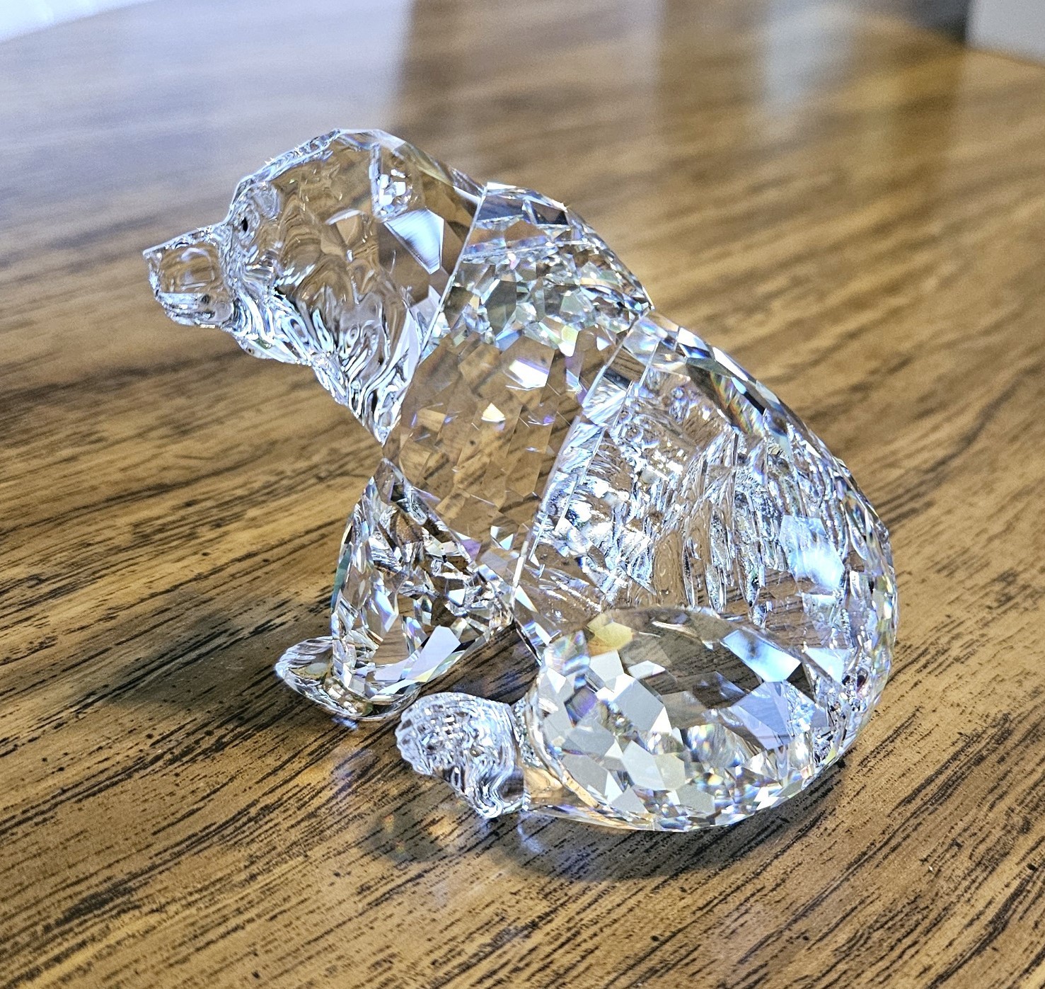🐻 Swarovski Crystal “Rare Encounters”, LARGE, Adult Grizzly Bear Figurine, Box
