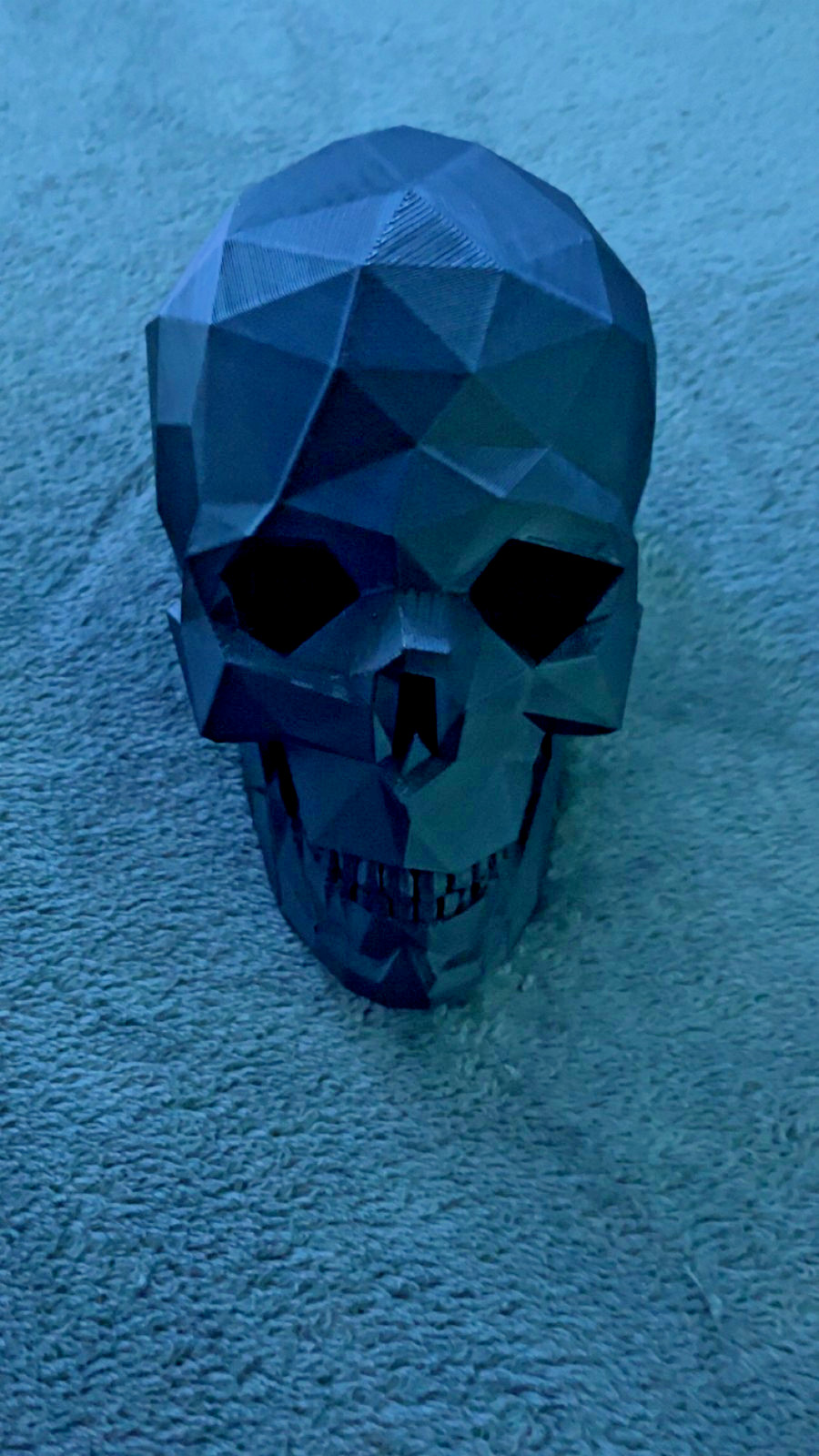 3d printed skull- READ DESCRIPTION