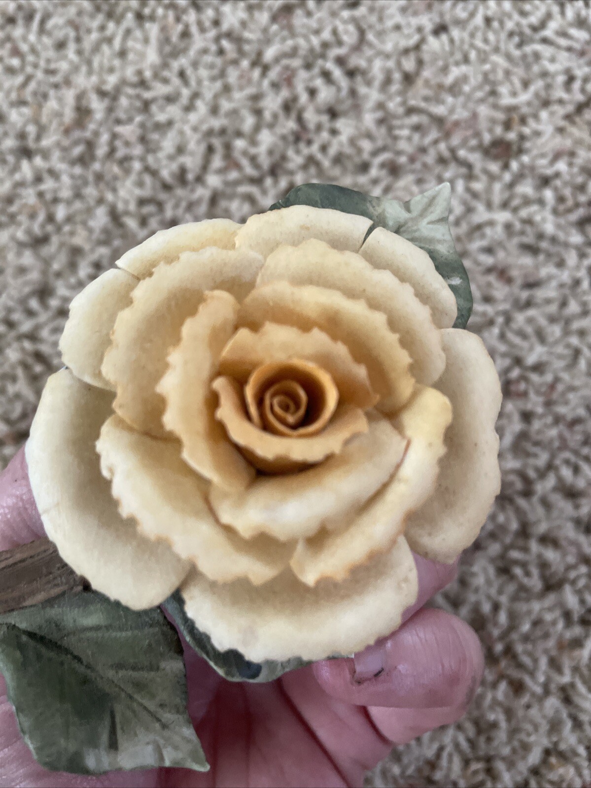 Delicate Possible Porcelain Rose On A Branch With Leaves