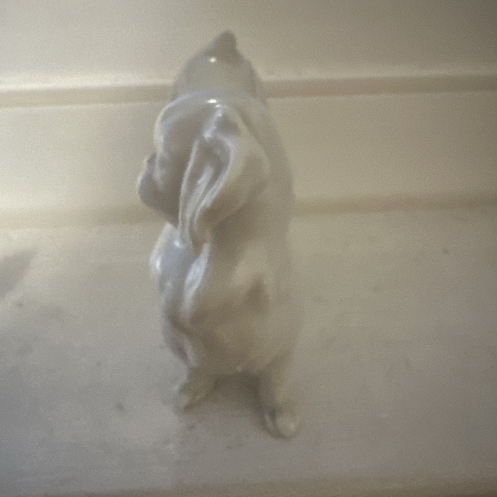 RARE Augarten Wien Vienna Blanc de Chine Porcelain Japanese Chin Pekingese Dog