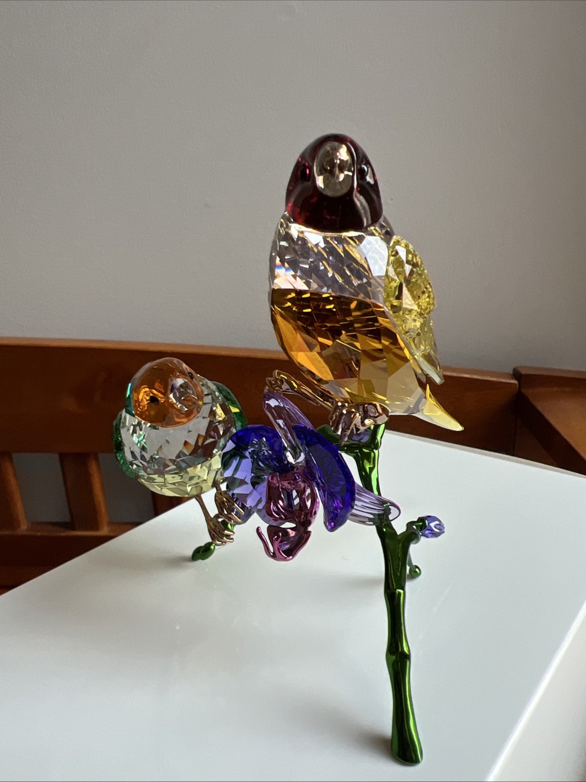 Swarovski 2024 Idyllia Gouldian Finches 5670031 Brand new in box.