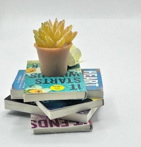 Mini Book Stack Trinket featuring ZURU Mini Brands Colleen Hoover Titles