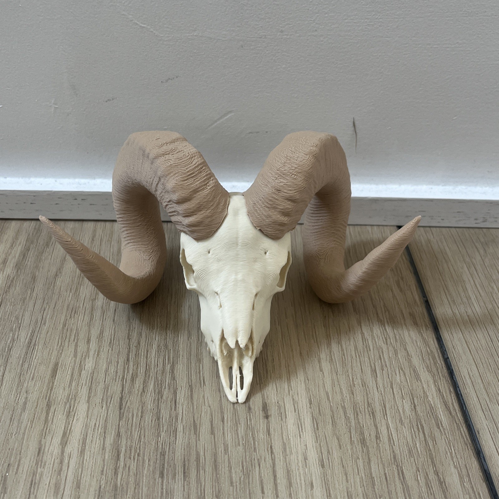 Ram Skull With Brown Horns And Stand 6 x 5 x 3 Inch