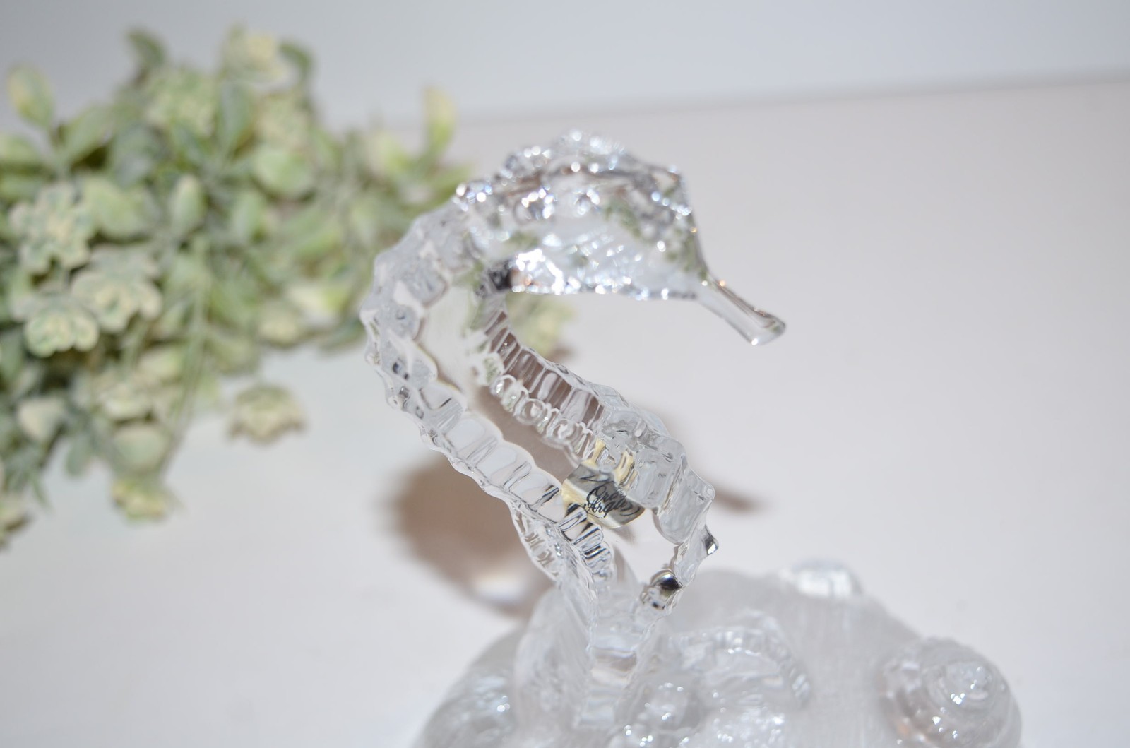 Vtg Cristal D’Arques Lead Crystal Seahorse Figurine On Frosted Shell Base 6″