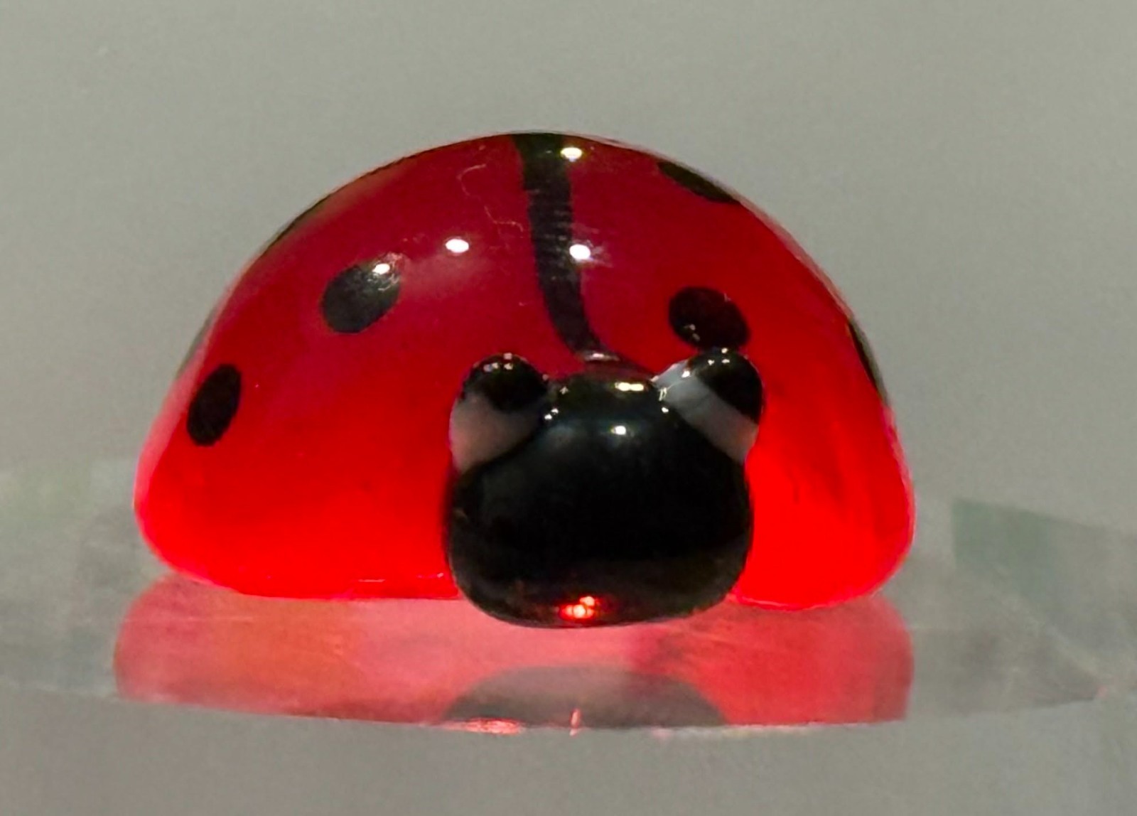 lot 2 Tiny Little Ladybug Glass Charm New Pocket Token