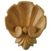 Small Shell Wood Applique