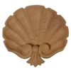 Extra Large Scalloped Shell